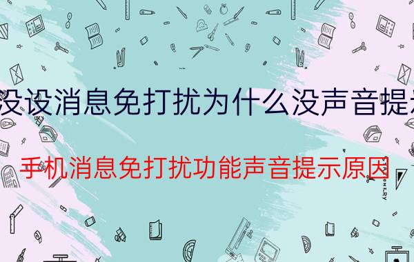 没设消息免打扰为什么没声音提示 手机消息免打扰功能声音提示原因